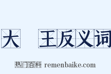 大醫王反义词是什么意思的图片